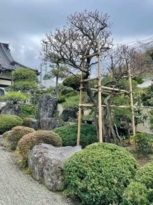 東漸寺の{uncategorized: "未分類", other: "その他", undefined: "問題あり", building: "その他建物", grave: "お墓", sacred_gate: "鳥居", guardian: "狛犬", statue: "像", buddha: "仏像", history: "歴史", nature: "自然", garden: "庭園", animal: "動物", pagoda: "塔", temizu: "手水舎", mountain_gate: "山門・神門", sanctuary: "本殿・本堂", subordinate: "末社・摂社", art: "芸術", scenery: "景色", jizo: "地蔵", ema: "絵馬", goshuin: "御朱印", omikuji: "おみくじ", items: "授与品その他", amulet: "お守り", goshuincho: "御朱印帳", eats: "食事", festival: "お祭り", votive_dance: "神楽", shichigosan: "七五三参", wedding: "結婚式", experience: "体験その他", initially: "初詣", around: "周辺", anti_infection: "感染症対策"}