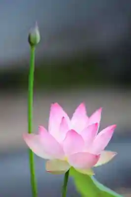 浄土寺(兵庫県)