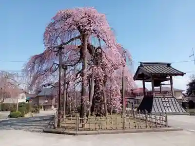 円東寺(福島県)