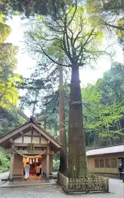 秋元神社(宮崎県)