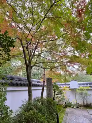 退蔵院のその他建物