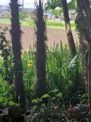 三日月神社(栃木県)