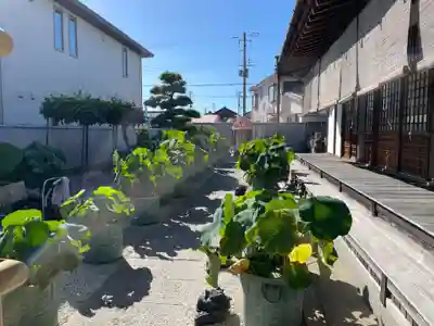 長徳寺(兵庫県)