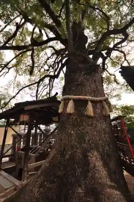 御袖天満宮(広島県)