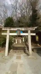 八雲神社(緑町)の鳥居