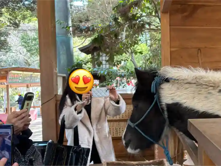 平塚八幡宮(神奈川県)