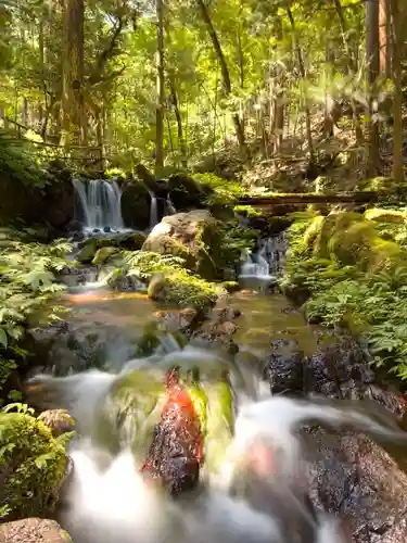 天徳寺(福井県)