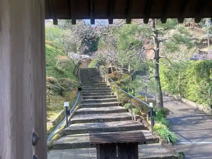 禅居院(神奈川県)