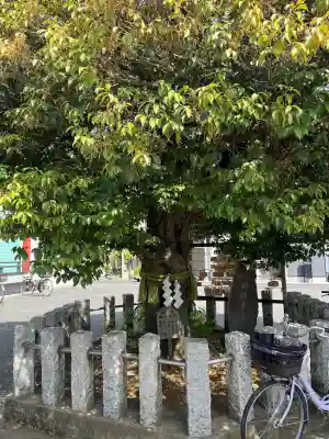 多摩川諏訪神社の{uncategorized: "未分類", other: "その他", undefined: "問題あり", building: "その他建物", grave: "お墓", sacred_gate: "鳥居", guardian: "狛犬", statue: "像", buddha: "仏像", history: "歴史", nature: "自然", garden: "庭園", animal: "動物", pagoda: "塔", temizu: "手水舎", mountain_gate: "山門・神門", sanctuary: "本殿・本堂", subordinate: "末社・摂社", art: "芸術", scenery: "景色", jizo: "地蔵", ema: "絵馬", goshuin: "御朱印", omikuji: "おみくじ", items: "授与品その他", amulet: "お守り", goshuincho: "御朱印帳", eats: "食事", festival: "お祭り", votive_dance: "神楽", shichigosan: "七五三参", wedding: "結婚式", experience: "体験その他", initially: "初詣", around: "周辺", anti_infection: "感染症対策"}