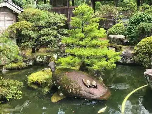 延光寺の庭園