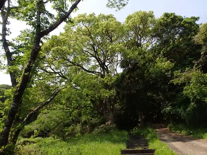 瀧神社(都農神社末社(奥宮))の自然