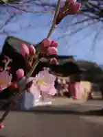 賀羅加波神社の自然