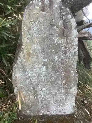 舌根寺廃寺・力寿の桜(愛知県)