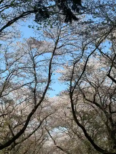 東蕗田天満社(茨城県)