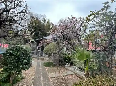 萬福寺(神奈川県)