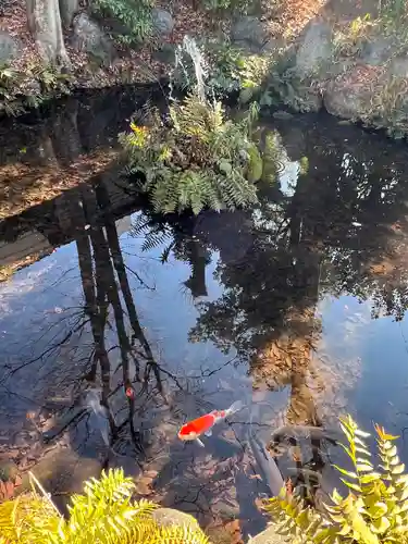 秩父今宮神社(埼玉県)