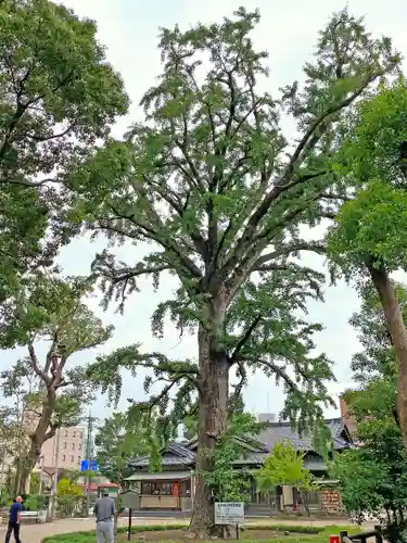 飯香岡八幡宮(千葉県)