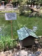 真清田神社の庭園