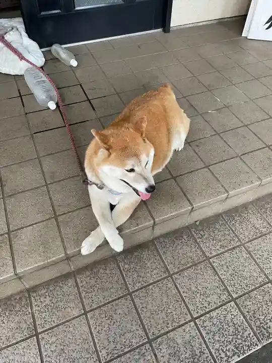 笠䅣稲荷神社(神奈川県)