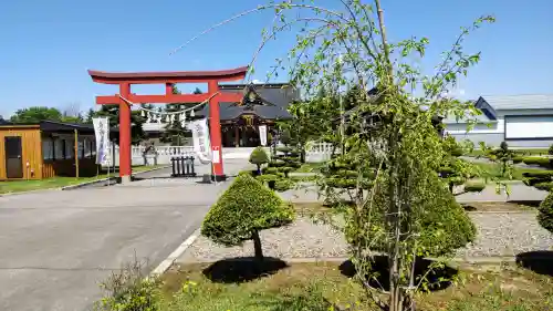 美瑛神社の自然