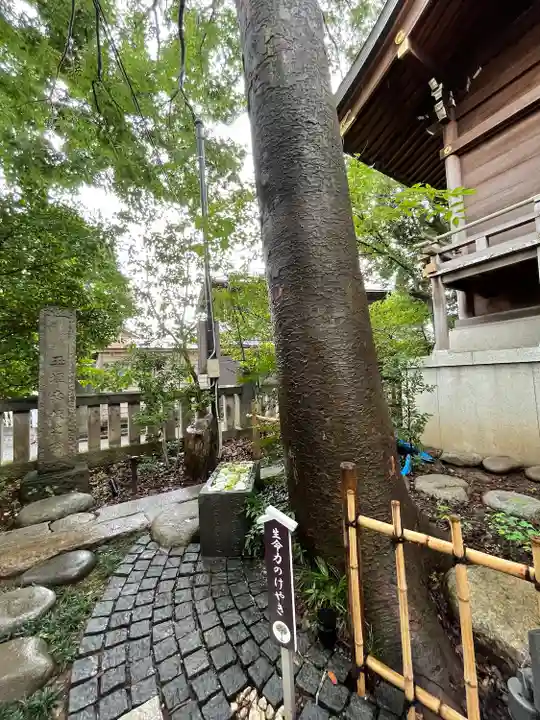 行田八幡神社のその他建物