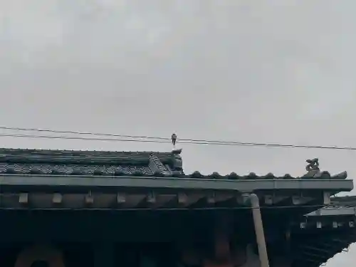 真性寺の{uncategorized: "未分類", other: "その他", undefined: "問題あり", building: "その他建物", grave: "お墓", sacred_gate: "鳥居", guardian: "狛犬", statue: "像", buddha: "仏像", history: "歴史", nature: "自然", garden: "庭園", animal: "動物", pagoda: "塔", temizu: "手水舎", mountain_gate: "山門・神門", sanctuary: "本殿・本堂", subordinate: "末社・摂社", art: "芸術", scenery: "景色", jizo: "地蔵", ema: "絵馬", goshuin: "御朱印", omikuji: "おみくじ", items: "授与品その他", amulet: "お守り", goshuincho: "御朱印帳", eats: "食事", festival: "お祭り", votive_dance: "神楽", shichigosan: "七五三参", wedding: "結婚式", experience: "体験その他", initially: "初詣", around: "周辺", anti_infection: "感染症対策"}