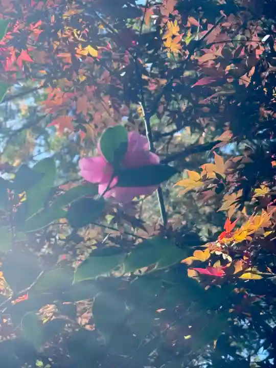 猿丸神社(京都府)