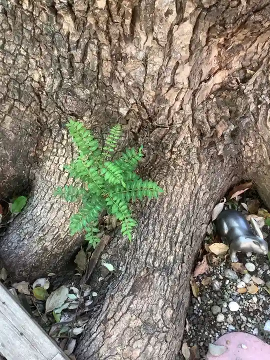 三輪神社の自然