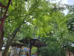 越谷香取神社の建物その他