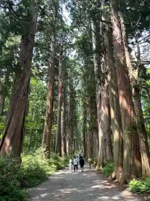 戸隠神社九頭龍社(長野県)