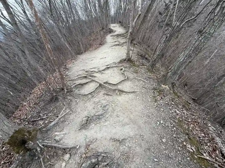 宝登山神社奥宮の{uncategorized: "未分類", other: "その他", undefined: "問題あり", building: "その他建物", grave: "お墓", sacred_gate: "鳥居", guardian: "狛犬", statue: "像", buddha: "仏像", history: "歴史", nature: "自然", garden: "庭園", animal: "動物", pagoda: "塔", temizu: "手水舎", mountain_gate: "山門・神門", sanctuary: "本殿・本堂", subordinate: "末社・摂社", art: "芸術", scenery: "景色", jizo: "地蔵", ema: "絵馬", goshuin: "御朱印", omikuji: "おみくじ", items: "授与品その他", amulet: "お守り", goshuincho: "御朱印帳", eats: "食事", festival: "お祭り", votive_dance: "神楽", shichigosan: "七五三参", wedding: "結婚式", experience: "体験その他", initially: "初詣", around: "周辺", anti_infection: "感染症対策"}