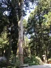 御岩神社の自然