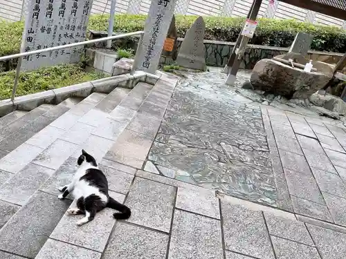 王子神社の動物