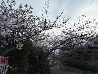 兵庫縣神戸護國神社(兵庫県)