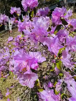 土津神社｜こどもと出世の神さま(福島県)
