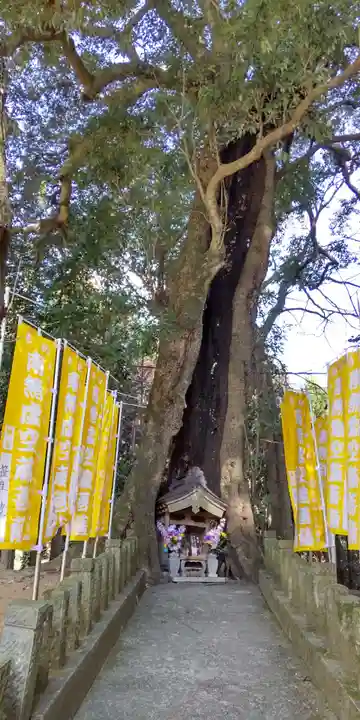 宝城坊(神奈川県)