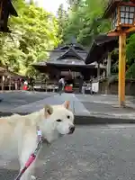 新倉富士浅間神社(山梨県)