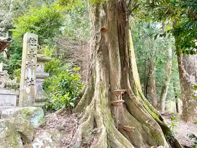 住吉神社(三重県)