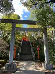 穴八幡宮の鳥居