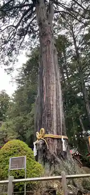 北口本宮冨士浅間神社(山梨県)