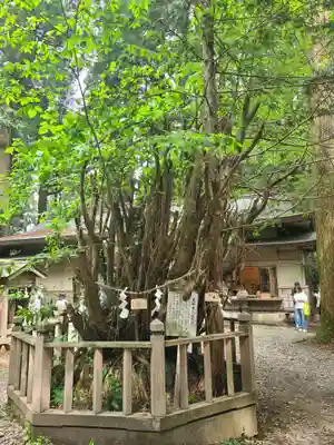 幣立神宮(熊本県)