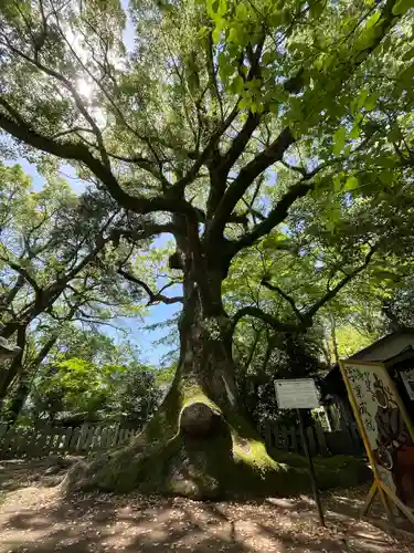 松森天満宮(長崎県)