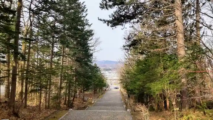 上川神社の景色