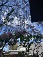 日蓮宗瑞光山久遠寺(愛知県)