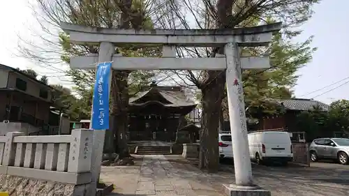 滝野川八幡神社の鳥居