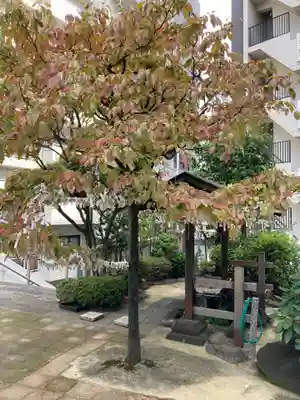 高輪神社(東京都)