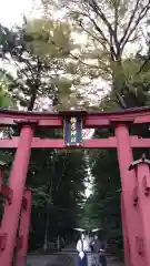 彌彦神社(新潟県)