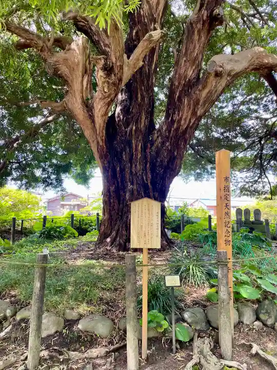 安養院 (田代寺)(神奈川県)