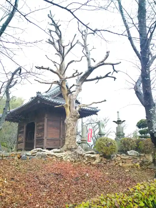 法輪寺の山門・神門
