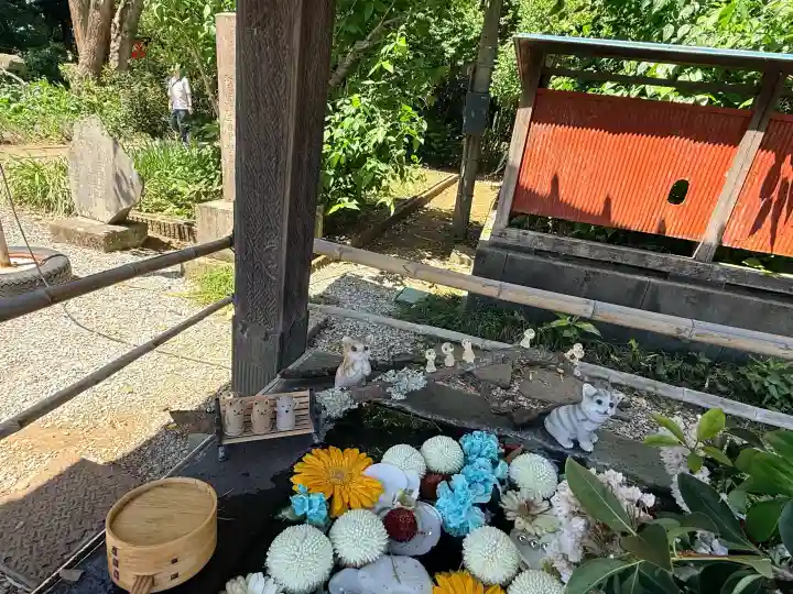 前玉神社の{uncategorized: "未分類", other: "その他", undefined: "問題あり", building: "その他建物", grave: "お墓", sacred_gate: "鳥居", guardian: "狛犬", statue: "像", buddha: "仏像", history: "歴史", nature: "自然", garden: "庭園", animal: "動物", pagoda: "塔", temizu: "手水舎", mountain_gate: "山門・神門", sanctuary: "本殿・本堂", subordinate: "末社・摂社", art: "芸術", scenery: "景色", jizo: "地蔵", ema: "絵馬", goshuin: "御朱印", omikuji: "おみくじ", items: "授与品その他", amulet: "お守り", goshuincho: "御朱印帳", eats: "食事", festival: "お祭り", votive_dance: "神楽", shichigosan: "七五三参", wedding: "結婚式", experience: "体験その他", initially: "初詣", around: "周辺", anti_infection: "感染症対策"}